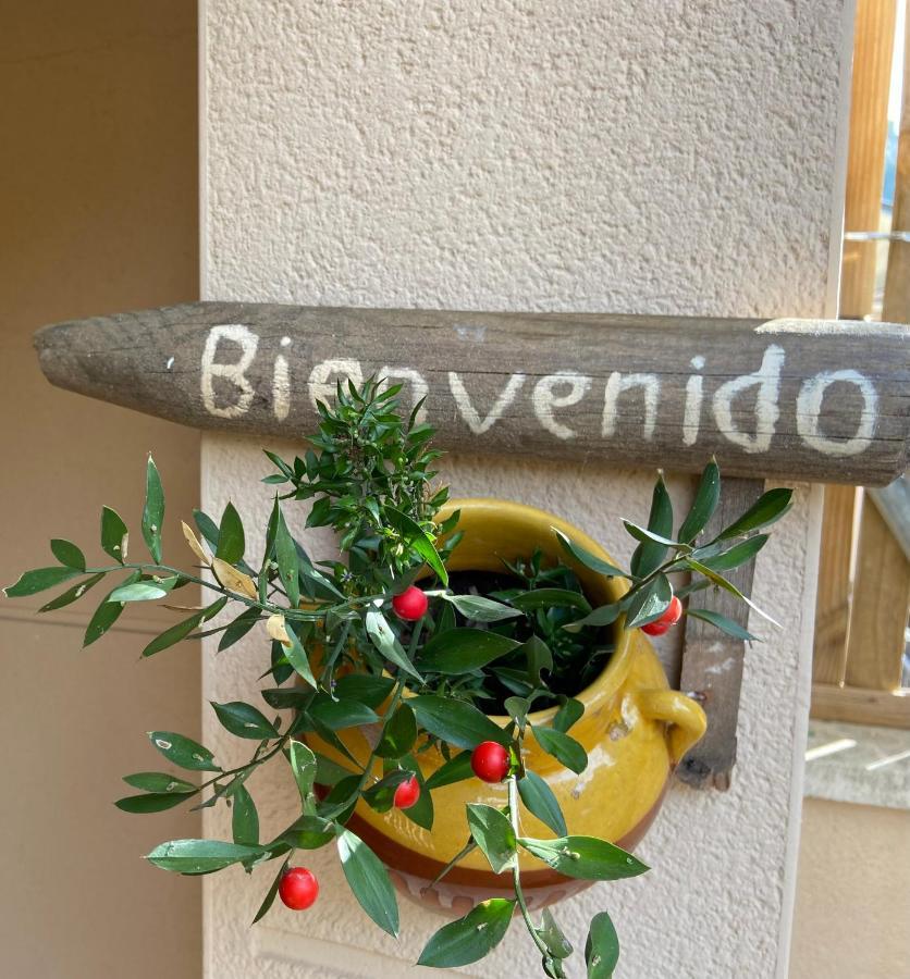 Raco Del Garraf Ca La Matilde House Bbq And Pool Villa Olivella Ngoại thất bức ảnh